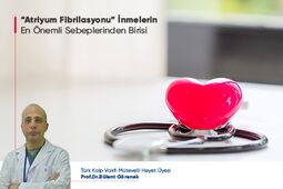 “Atriyum Fibrilasyonu” İnmelerin En Önemli Sebeplerinden Birisi