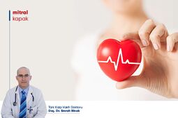 Mitral Kapak