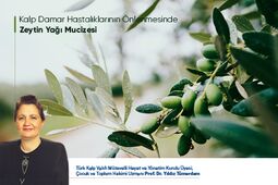 Sağlıklı Yaşam İçin Zeytin Yağının Önemi